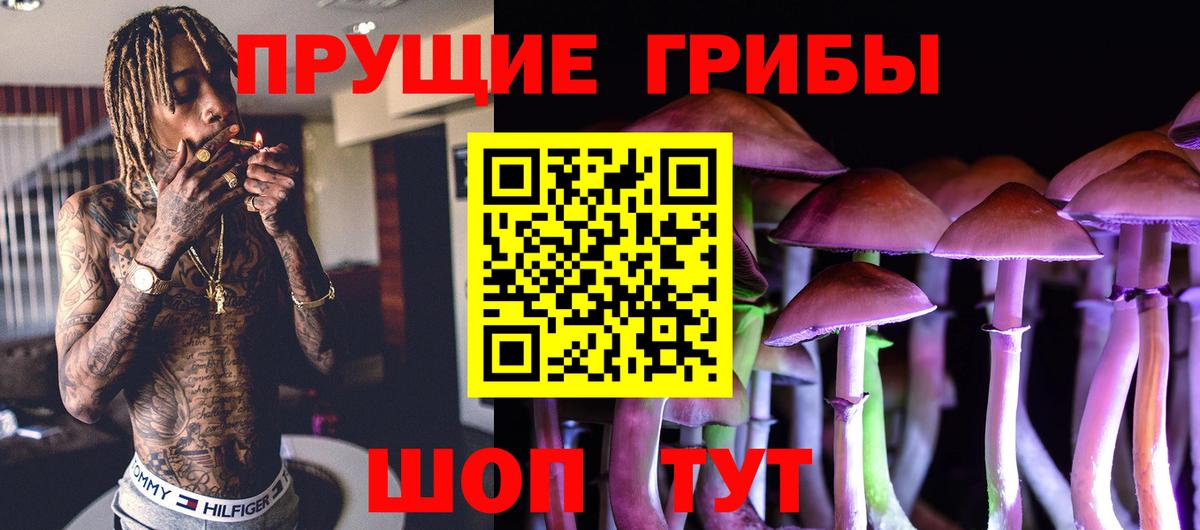 Псилоцибиновые грибы прущие грибы Гудермес